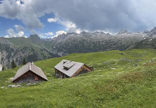 Almlandschaft mit Holzhütte