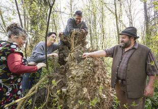 no reuse 20 im waldkammergut