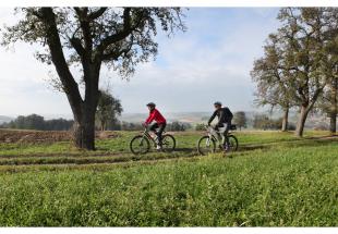 no reuse Mit dem E Bike vom Kurpark in den Naturpark