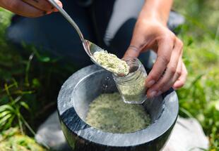 die Kraft der wilden Pflanzen - ein sinnlicher Streifzug