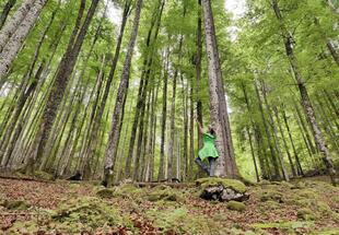Wald-Yoga - Balance im Buchenwald
