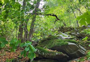 Über den Schmugglerweg von Frain nach Hardegg