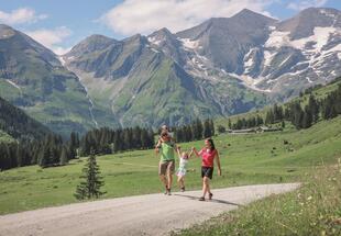 Erlebniswanderung Käfertal