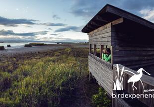 Birdwatching mit Zeiss & Club 300