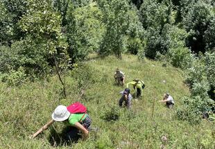 International Workcamp in zwei Nationalparks