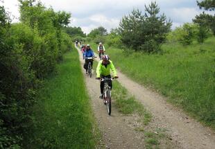 E-Bike-Tour entlang des ehemaligen Eisernen Vorhanges