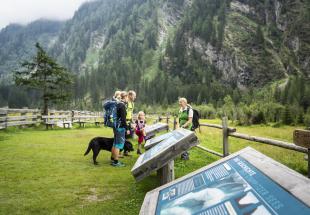 Into the wild:Naturerlebnisweg Seebachtal