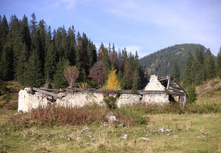 Wilderer G´schichten