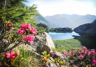 Wanderung zum Rotgüldensee