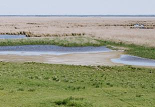 Sandeck: Ein Blick in die Naturzone