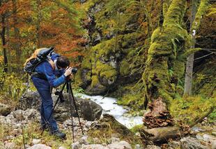 Tagung „Naturfotografie im Dialog“ im Nationalpark Gesäuse