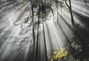 Malen mit Licht: Die Magie des Herbstes