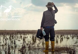 Aktuelle Forschung im Nationalpark