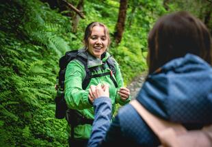 In das Hollersbachtal