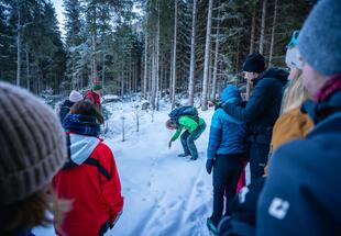 Wintererlebnis Hollersbachtal