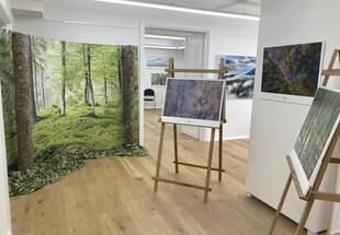 Vernissage mit Philipp Jakesch: Spuren der Wildnis -  Ein Fragiles Gleichgewicht