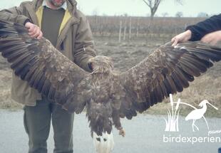 Wildtierkriminalität - Aktuelle Entwicklungen und Trends