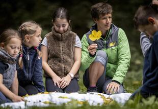 Wildschweinschnitzeljagd