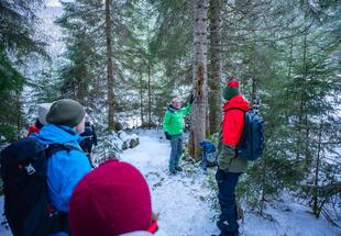 Wintererlebnis Hollersbachtal