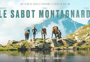 Kino beim Weidendom: Berghufe - Le sabot montagnard