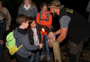 Wildkatzen-Nachtwanderung, Kinderspezial