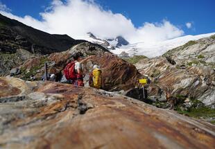Ins ewige Eis - kalte Riesen in heißen Zeiten