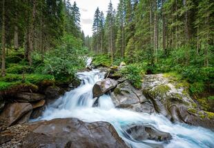 In das Wildgerlostal