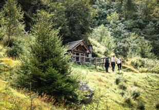 Obersulzbachtal - Kampriesenrunde