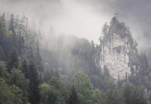 Fotokurs - Herbstbeginn im Nationalpark Gesäuse