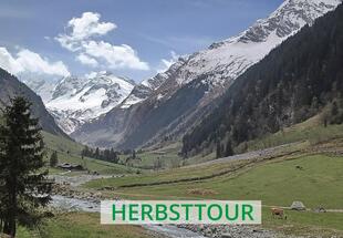 Nationalfeiertagstour - Lachalm Höhenweg