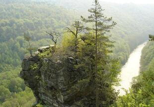 Große Wildnis im kleinsten Nationalpark