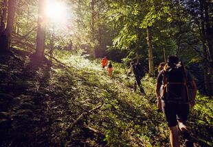 UNESCO-Welterbe Tour: Im Bodinggraben