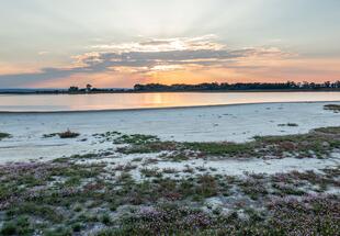 Sodalacken: einzigartige Lebensräume - Fahrradtour