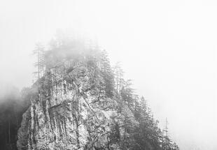 Fotokurs - FORMS OF XEIS - Herbst