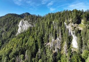 Wald- und Menschengeschichten im Holzgraben