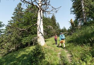 Wildniswandern für Frauen &#40;2 Tage&#41;