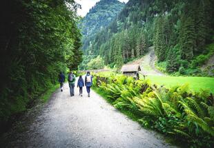 Das Scharrntal entdecken