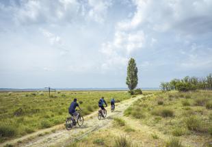 Der Nationalpark zum Kennenlernen - Fahrradtour