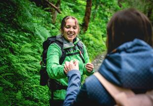 In das Hollersbachtal