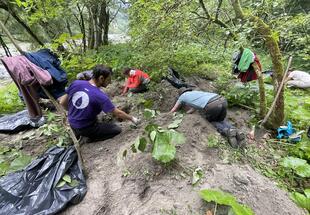 Invasive Aliens Action Days - Internationales Workcamp im Nationalpark Gesäuse