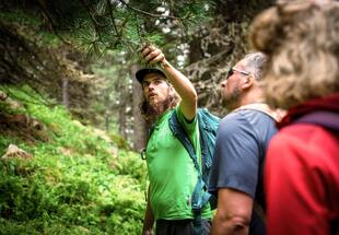 Dem Wurfbach entlang