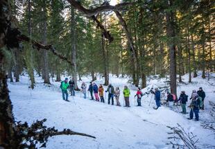 Goldene Aussichten Rauris