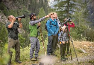 Wildtierbeobachtung entlang des Tauernhöhenweges