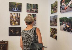 Ausstellung 'Künstler sehen den Nationalpark'