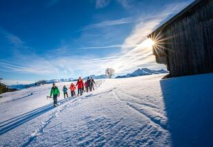 Wasenmoos - Ausblicke Hohe Tauern