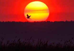 Wenn es Abend wird im Nationalpark