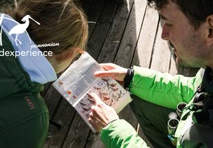 Warum sind Vögel cool?