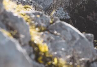 Alpin-Fotokurs auf der Hesshütte