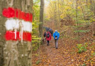 Nationalparkwandertag