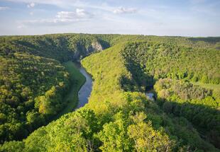 Musik der Thaya entlang